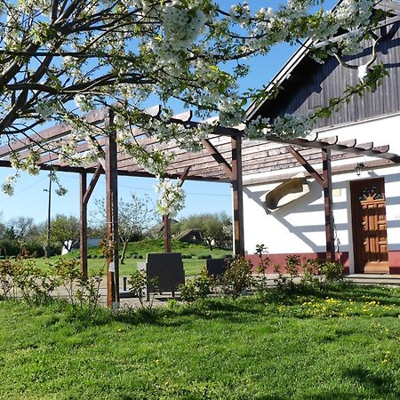 Tiszaszolos Tisza White House Bed & Breakfast エクステリア 写真