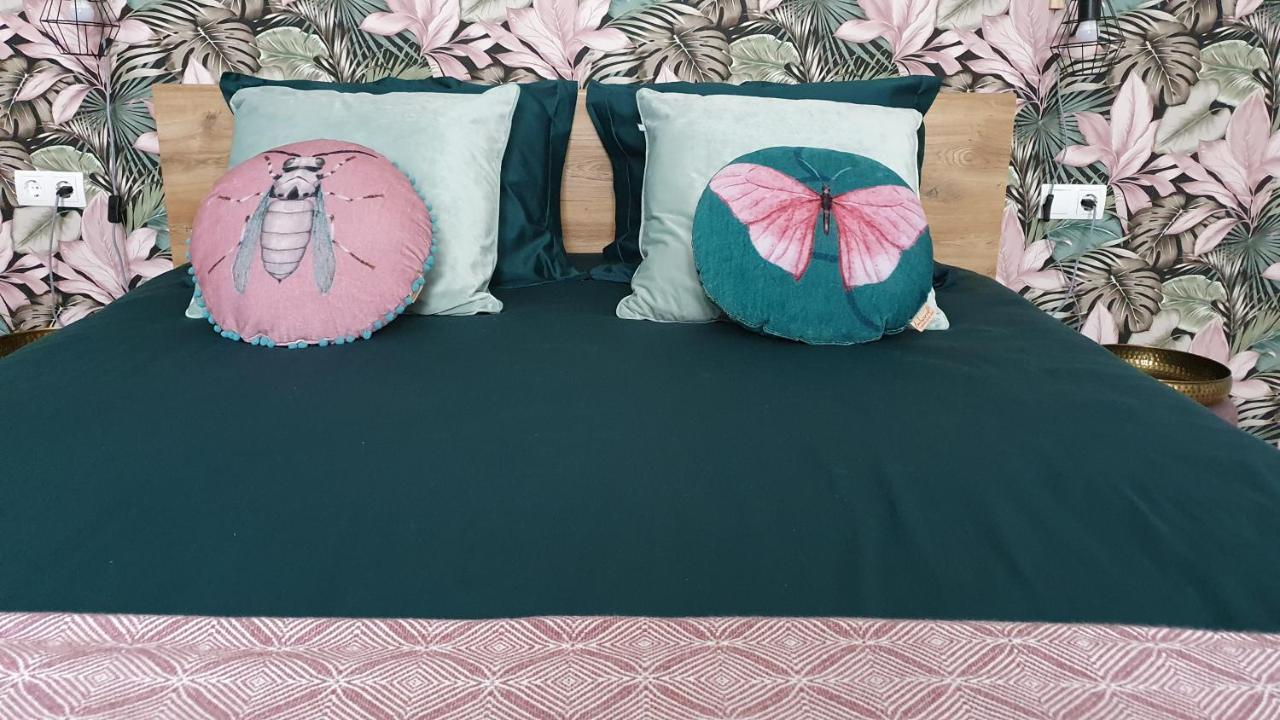 Tiszaszolos Tisza White House Bed & Breakfast エクステリア 写真