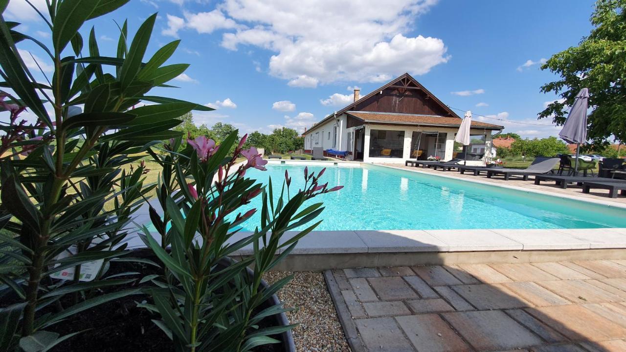 Tiszaszolos Tisza White House Bed & Breakfast エクステリア 写真