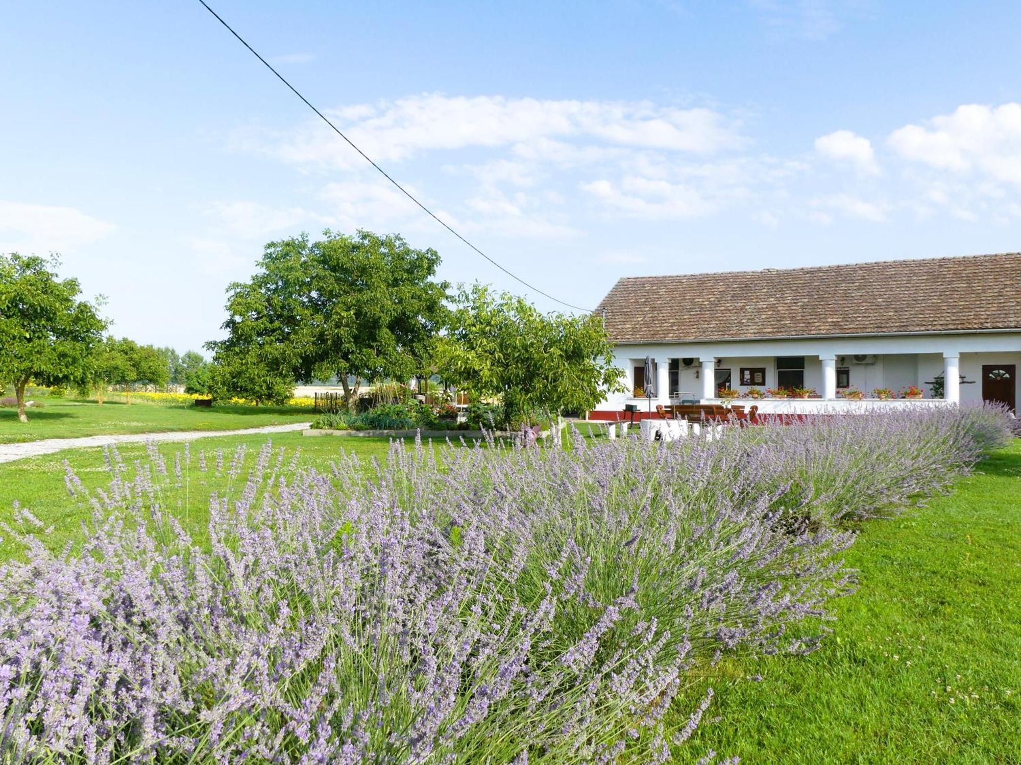 Tiszaszolos Tisza White House Bed & Breakfast エクステリア 写真
